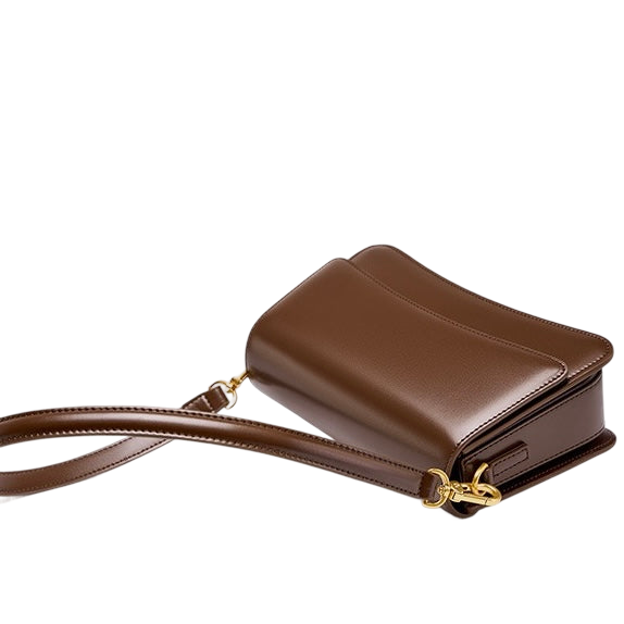 A brown leather handbag with a gold metal clasp and strap is shown against a white background.