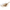 LEMORE MOON SHOULDERBAG