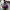 HERRICH SHOULDER BAG